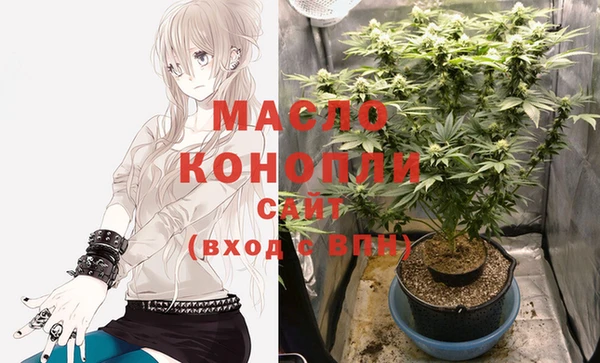 шишки Беломорск
