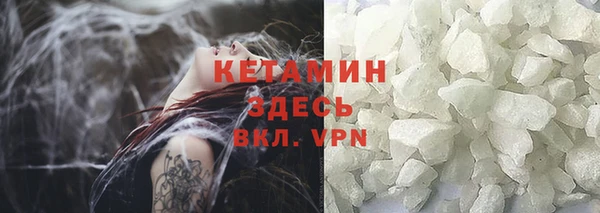 шишки Беломорск