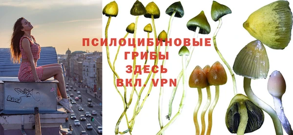 кристаллы Белоозёрский
