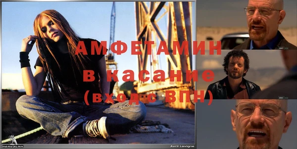 шишки Беломорск