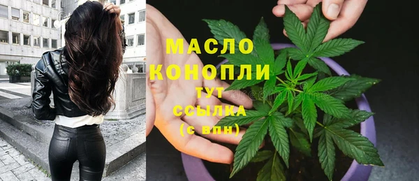 шишки Беломорск
