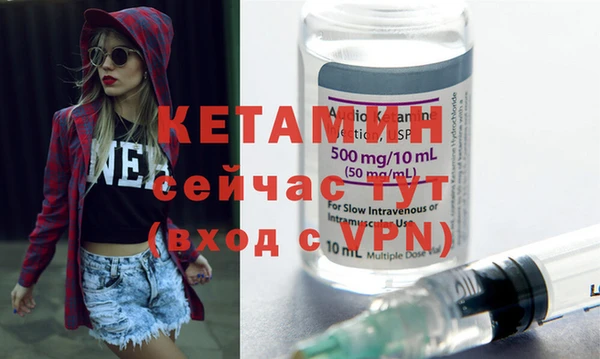 шишки Беломорск