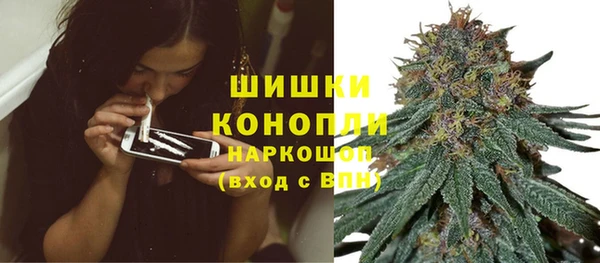 шишки Беломорск