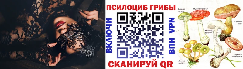 Галлюциногенные грибы прущие грибы  Шебекино 